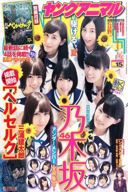 欧洲e1级和日本e1级